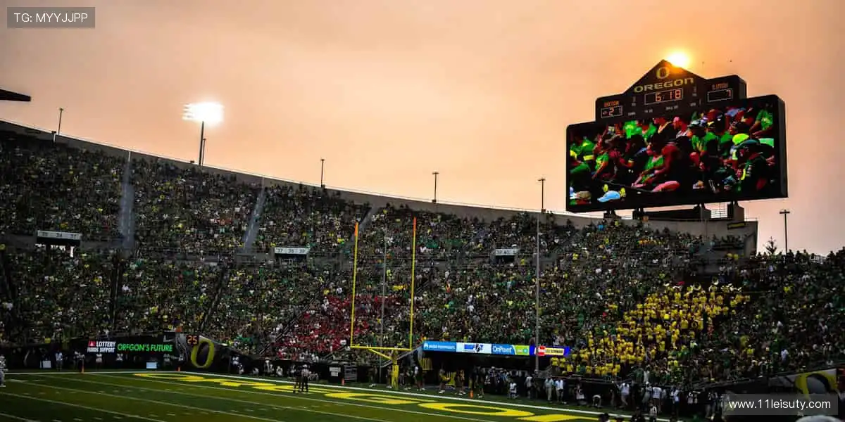 🏃 奔跑吧,用汗水书写属于你的传奇!✨